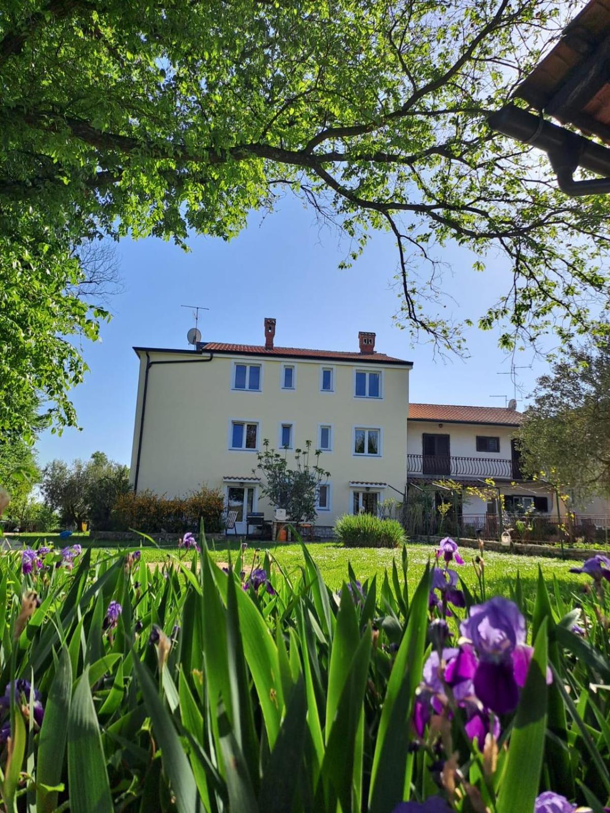 Murine Apartments Marija מראה חיצוני תמונה